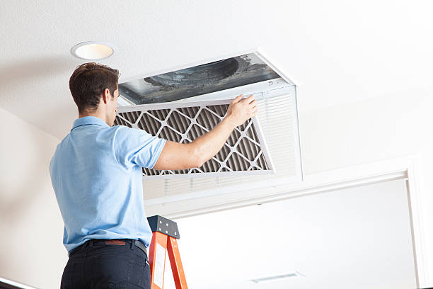 Best Local HVAC Companies  in Bay Pines, FL